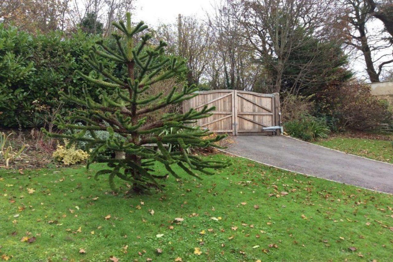 Longacre Bed & Breakfast Freshford Exterior foto